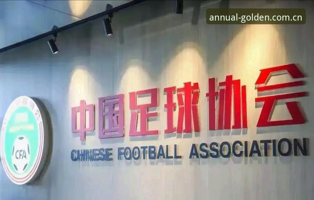金年会会员功能对比 足协第三批禁足名单深度解析——金年会体育平台全面解读